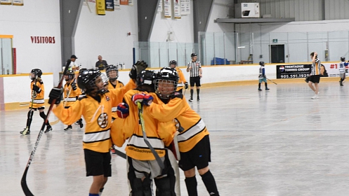 FALL SEASON INFO